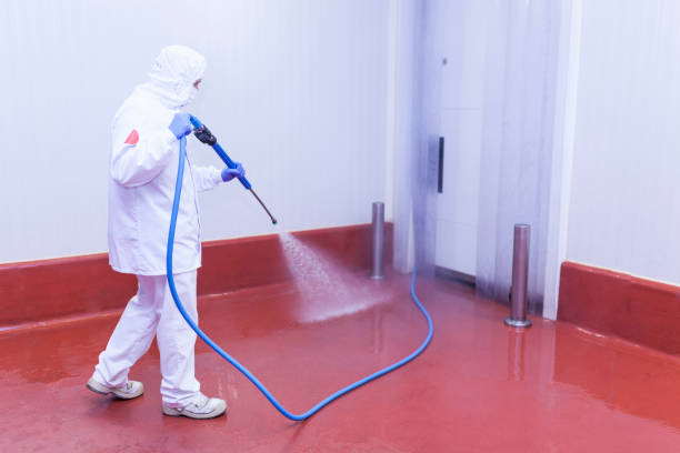 Best Boat and Dock Cleaning  in Cottonwood, ID